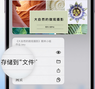 礼县apple维修中心分享iPhone文件应用中存储和找到下载文件