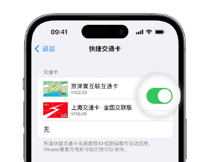 礼县apple维修点分享iPhone上更换Apple Pay快捷交通卡手绘卡面 