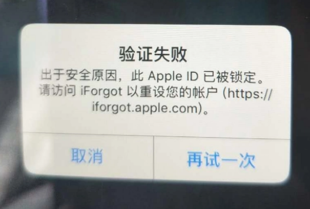 礼县iPhone维修分享iPhone上正常登录或使用AppleID怎么办 