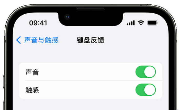 礼县苹果手机维修分享iPhone 14触感键盘使用方法 