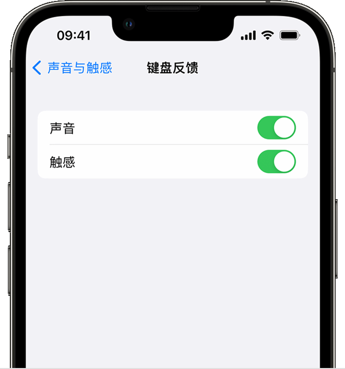 礼县苹果14维修店分享如何在 iPhone 14 机型中使用触感键盘 