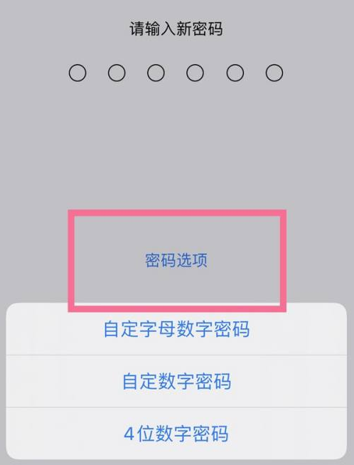 礼县苹果14维修分享iPhone 14plus设置密码的方法 