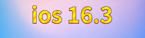 礼县苹果服务网点分享苹果iOS16.3升级反馈汇总 