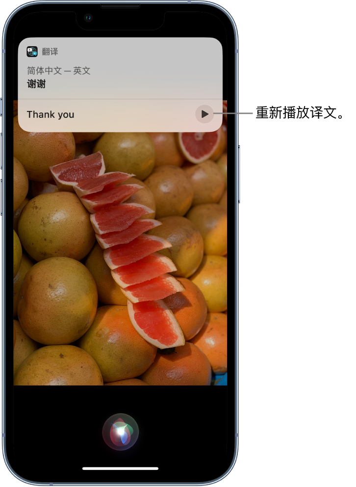 礼县苹果14维修分享 iPhone 14 机型中使用 Siri：了解 Siri 能帮你做什么 