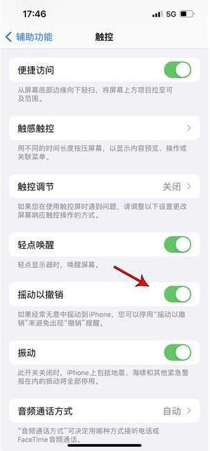 礼县苹果手机维修分享iPhone手机如何设置摇一摇删除文字 